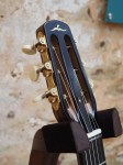 Freschi_ReveElite_7