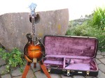 Gibson_F5L_1994_1