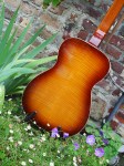 Regal_Dobro_8