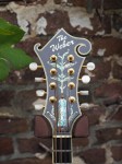 Weber_Fern_4