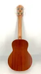 aNueNueUC-10BBFront_1200x_3