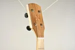 appalachian_headstock-scaled-960x640.jpg